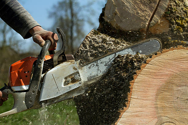 Mulching Services in Kersey, CO